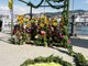 Porto Antico Verde, sabato e domenica il mercatino con piante aromatiche, fiori e agrumi