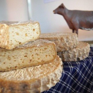 Liguri protagonista in Piemonte alla dodicesima edizione di &quot;Cheese&quot;