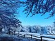 Arriva la neve sull'Appennino ligure anche a bassa quota (FOTO)