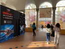 "Non escludete Leonardo dal Festival della Scienza": lettera-appello di intellettuali e imprenditori. Si riapre il dialogo
