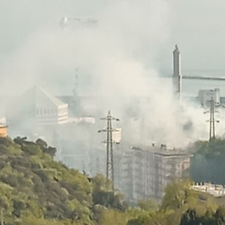 Foto Facebook Guido Luciani