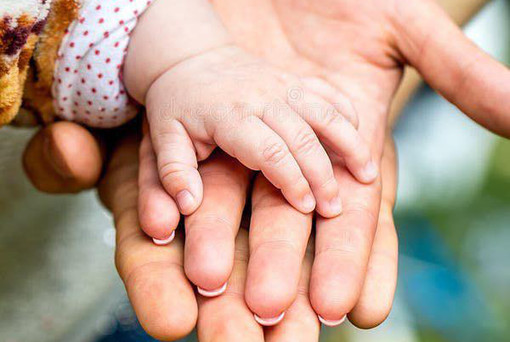 Fecondazione eterologa, via libera nei centri pubblici liguri: le coppie potranno curarsi senza andare fuori regione