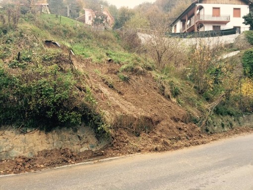 Maltempo e disagi, Confagricoltura Liguria: "Basta con l'emergenza prevedibile, si attivi una task force per il territorio"