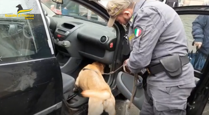 15 chili di cocaina in macchina, 26enne arrestato dalla finanza, con l'aiuto del cane antidroga (Video)