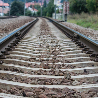 Albero cade sui binari tra Borzoli e Acquasanta: traffico ferroviario rallentato
