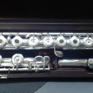 Furto in treno, appello per ritrovare il flauto traverso rubato