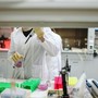Farmacia e Chimica e tecnologia farmaceutiche, all’Università di Genova niente test di ammissione