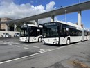 Trasporto pubblico, Natale e Sanna: “Bucci smetta di scaricare responsabilità e metta risorse per rilancio Amt” Trasporto pubblico, Natale e Sanna: “Bucci smetta di scaricare responsabilità e metta risorse per rilancio Amt”