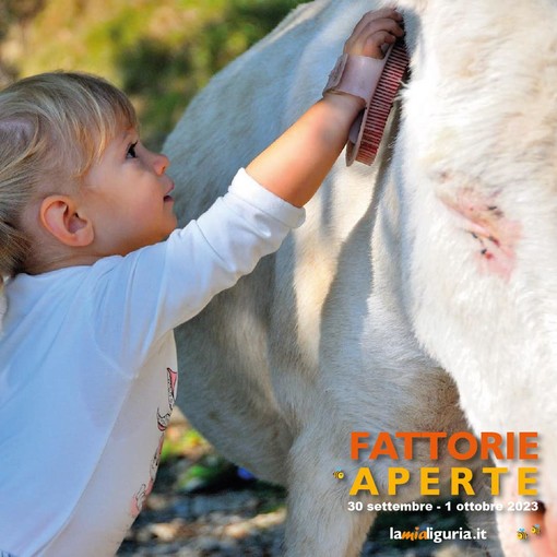 Cosa fare a Genova e dintorni nel week end: gli eventi per sabato 30 settembre e domenica 1 ottobre Cosa fare a Genova e dintorni nel week end: gli eventi per sabato 30 settembre e domenica 1 ottobre