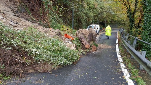 La frana a Cogorno (Foto Città Metropolitana di Genova)