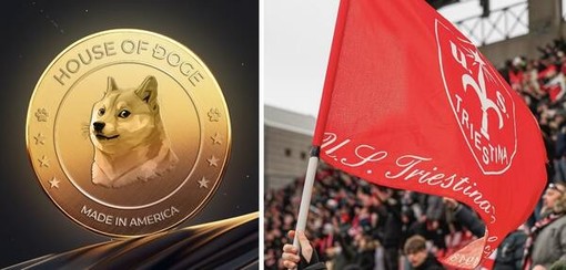 Dogecoin compra la Triestina, mentre la prevendita di Maxi Doge supera $2 milioni Dogecoin compra la Triestina, mentre la prevendita di Maxi Doge supera $2 milioni