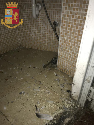 Locale chiuso a Cornigliano per pessime condizioni igieniche