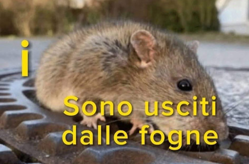 Caso Gibelli, la giunta prende le distanze ma non annuncia la revoca: “Ha sbagliato, ci dissociamo dal contenuto” Caso Gibelli, la giunta prende le distanze ma non annuncia la revoca: “Ha sbagliato, ci dissociamo dal contenuto”