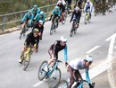 Cosa fare a Genova e dintorni nel week end: tutti gli appuntamenti per sabato 26 e domenica 27 luglio Cosa fare a Genova e dintorni nel week end: tutti gli appuntamenti per sabato 26 e domenica 27 luglio