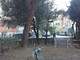 Via Gallino e Giardini Mencaraglia, il Municipio V accelera su sicurezza e riqualificazione