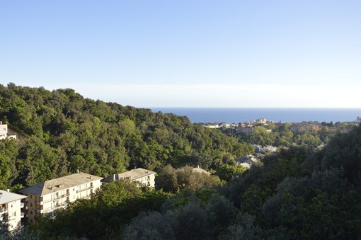 Genova contro la pena di morte con &quot;Cities for Life&quot;