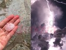 Maltempo, pioggia e tempesta di fulmini si abbatte su Genova. Caduto un albero in piazza Masnata