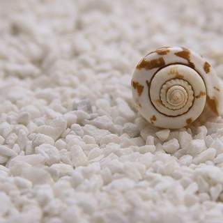 GreenLife: vanno in scena i profumi per il nostro benessere