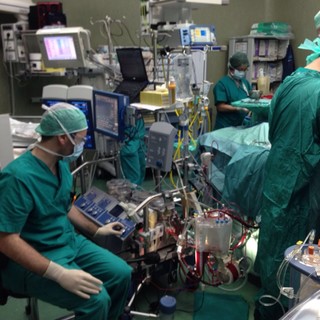 Martedì 29 settembre si celebra la Giornata Mondiale del cuore