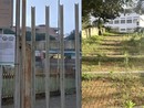 Degrado ai giardini Cesare Ricci, la nipote: "Profondo rammarico per l'incuria dell'area dedicata alla memoria di mio zio" Degrado ai giardini Cesare Ricci, la nipote: "Profondo rammarico per l'incuria dell'area dedicata alla memoria di mio zio"