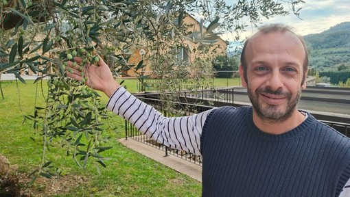 La stagione olearia entra nel vivo, il punto con Giacomo Rinaldi dell'Antica Azienda Raineri (Video)
