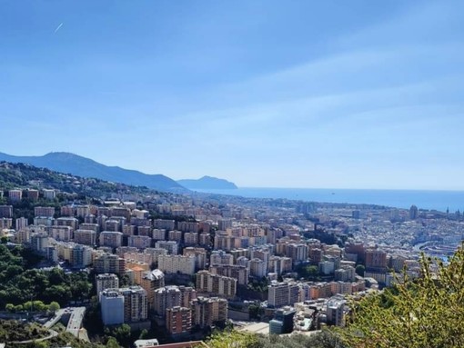 Municipio Centro Ovest, assessora Pericu assente alla commissione rifiuti: scoppia la polemica