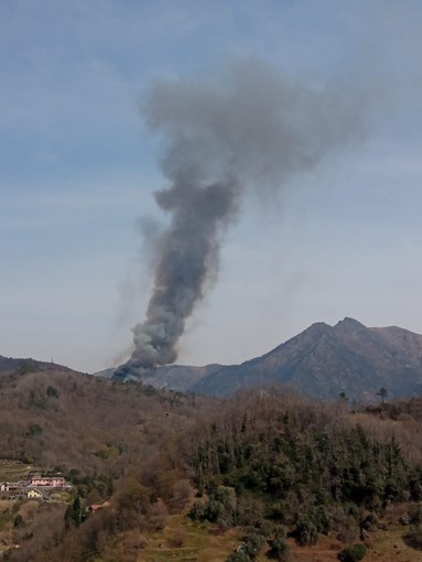 Emergenza roghi in Liguria: 167 casi nei primi sette mesi, bruciati 611 ettari Emergenza roghi in Liguria: 167 casi nei primi sette mesi, bruciati 611 ettari