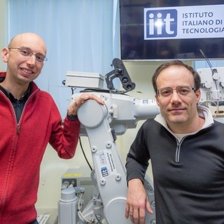 Iit: Robotics Flagship, presentato all’Europa un programma per lo sviluppo sostenibile delle tecnologie robotiche del futuro