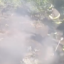 Incendio boschivo a Torriglia, Vigili del Fuoco al lavoro vicino al lago del Brugneto