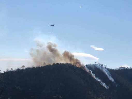 Incendio a Cogoleto, l'assessore regionale Mai: &quot;Speriamo di riuscire a fermare questa brutta bestia&quot; (FOTO e VIDEO)
