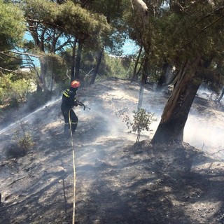 Incendi boschivi: cessato stato di grave pericolosità