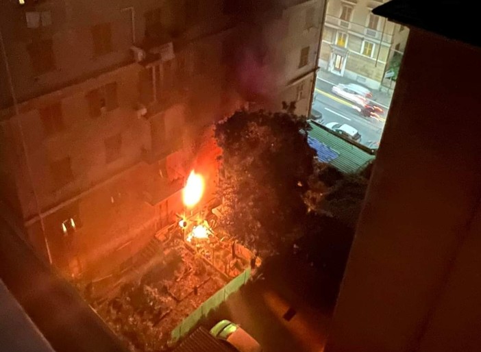 Foto di Silverio Insogna