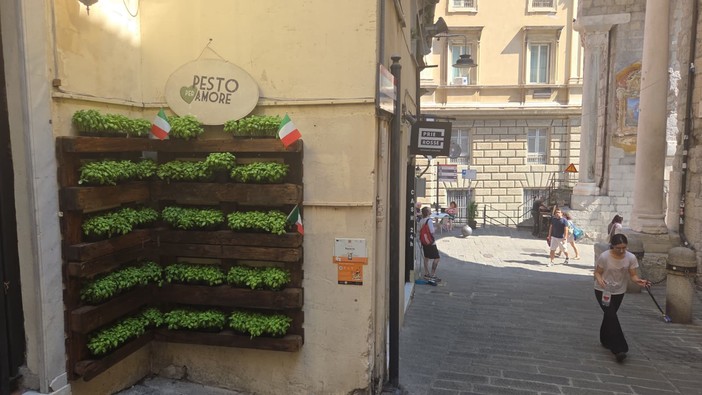 Pesto per Amore porta il basilico in via di Ravecca: nuovo spazio verde nel cuore del centro storico