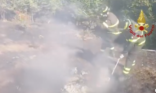 Incendio boschivo a Torriglia, Vigili del Fuoco al lavoro vicino al lago del Brugneto Incendio boschivo a Torriglia, Vigili del Fuoco al lavoro vicino al lago del Brugneto