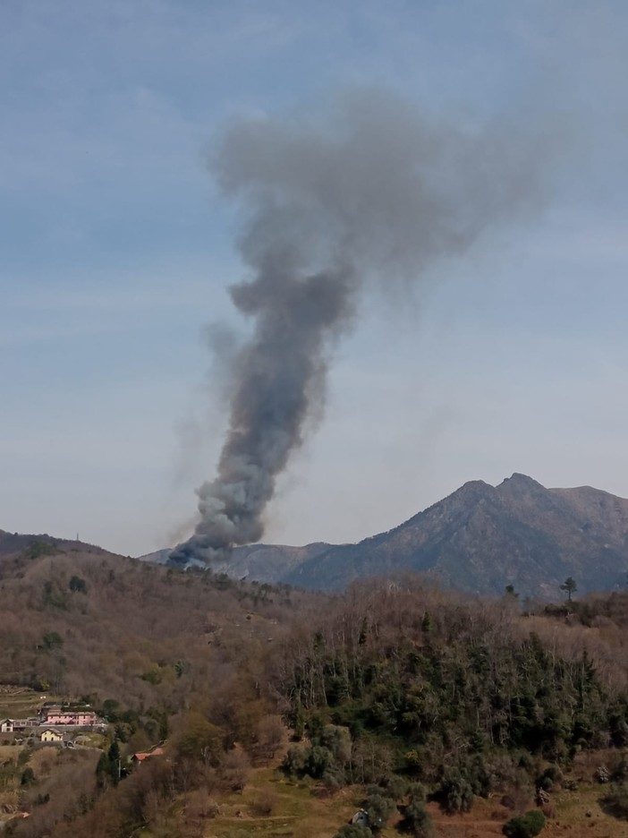 Emergenza roghi in Liguria: 167 casi nei primi sette mesi, bruciati 611 ettari Emergenza roghi in Liguria: 167 casi nei primi sette mesi, bruciati 611 ettari