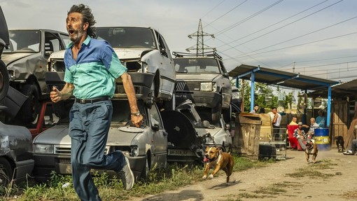 Incontro e film in streaming sulla piattaforma #iorestoinSALA: ‘Il ladro di cardellini’ Incontro e film in streaming sulla piattaforma #iorestoinSALA: ‘Il ladro di cardellini’