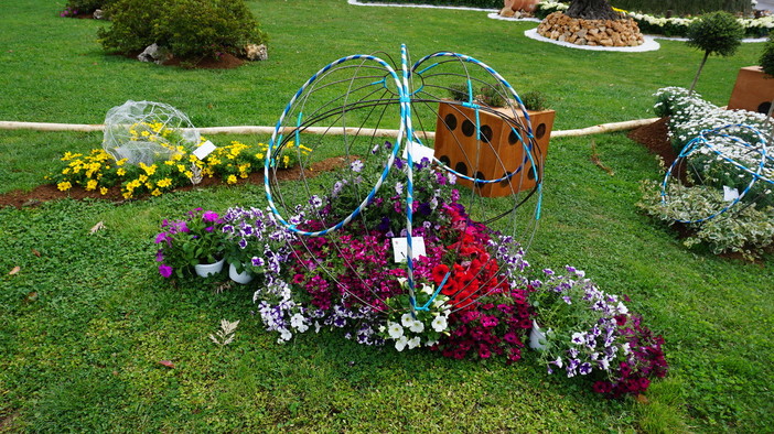 Euroflora Young, promozione speciale dedicata agli under 30