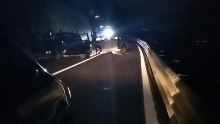 Maxi tamponamento sull'A10 con 4 auto: feriti madre e figlio Maxi tamponamento sull'A10 con 4 auto: feriti madre e figlio