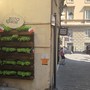 Pesto per Amore porta il basilico in via di Ravecca: nuovo spazio verde nel cuore del centro storico