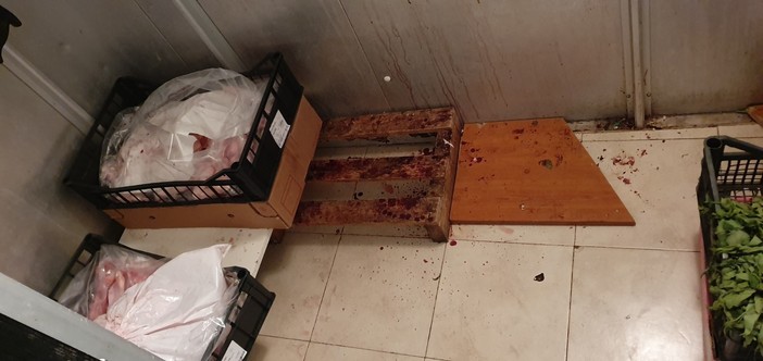 Scattano i controlli sui negozi di Sampierdarena e centro storico: sanzioni e sequestri