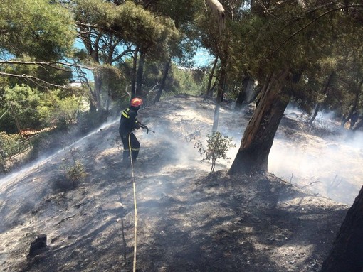 Incendi boschivi: cessato stato di grave pericolosità Incendi boschivi: cessato stato di grave pericolosità