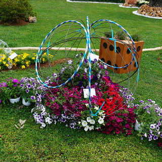 Euroflora Young, promozione speciale dedicata agli under 30