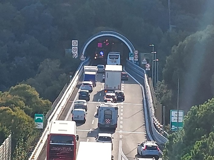 A10, incidente tra più auto in galleria: code chilometriche, mamma e figlio di un mese al San Paolo (FOTO) A10, incidente tra più auto in galleria: code chilometriche, mamma e figlio di un mese al San Paolo (FOTO)
