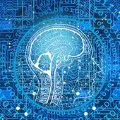 Genova e la Liguria accelerano sull’intelligenza artificiale: oltre 5.000 adesioni al Protocollo di Intesa sul super calcolo e ai factory