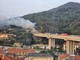 Foto e video di Massimo Pacini