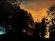 Nuovo incendio al Cep, vigili del fuoco al lavoro da stanotte, fiamme anche a Ne e sopra Varazze Nuovo incendio al Cep, vigili del fuoco al lavoro da stanotte, fiamme anche a Ne e sopra Varazze