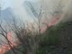 Parco di Portofino, ancora attivo l'incendio in località Casone