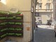 Pesto per Amore porta il basilico in via di Ravecca: nuovo spazio verde nel cuore del centro storico Pesto per Amore porta il basilico in via di Ravecca: nuovo spazio verde nel cuore del centro storico