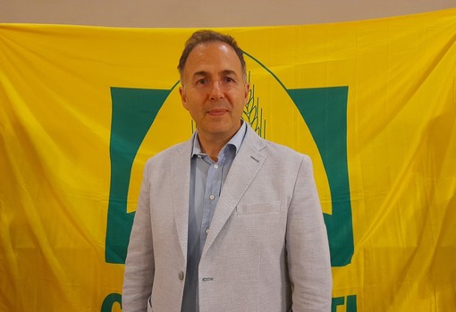 Floricoltura: il crisantemo fiore simbolo di Ognissanti Floricoltura: il crisantemo fiore simbolo di Ognissanti