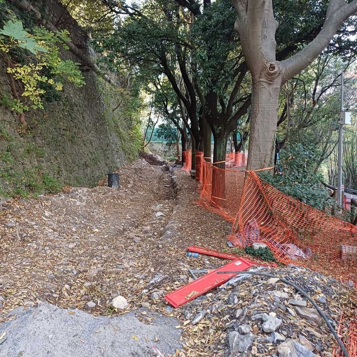 Via Carso, Aster: “Nessuna perizia di abbattimento”